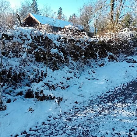 Chalet Barvaux Met Grote Tuin Durbuy Exterior foto